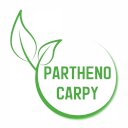 Parthenocarpy